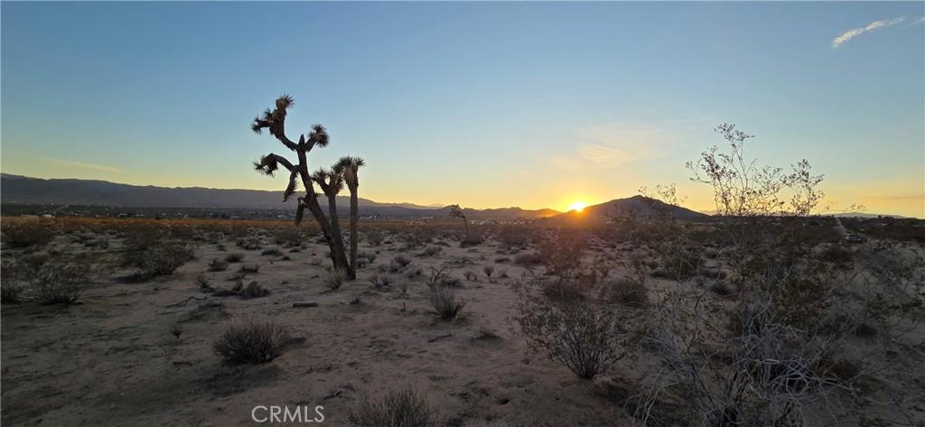 MLS #JT25267968 image #0