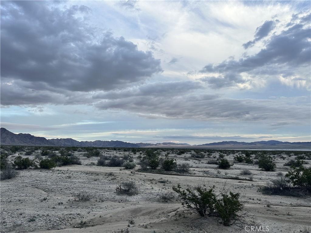 MLS #JT25269267 image #0