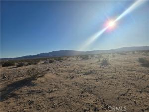 MLS #JT25276819 image #0