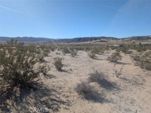 MLS #JT25277054 image #0
