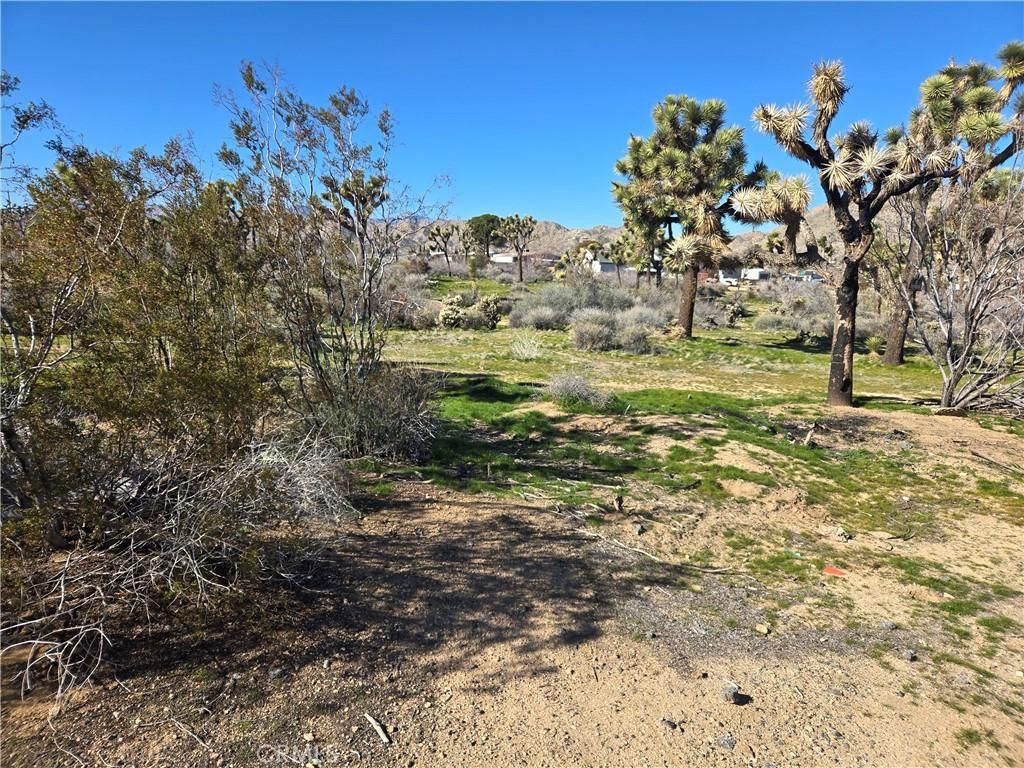 MLS #JT26006041 image #0