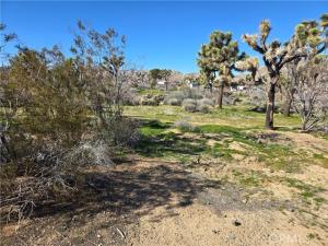7484 Palm Avenue Yucca Valley CA 92284 | MLS #JT26006041 45 MLS #JT26006041 image #0