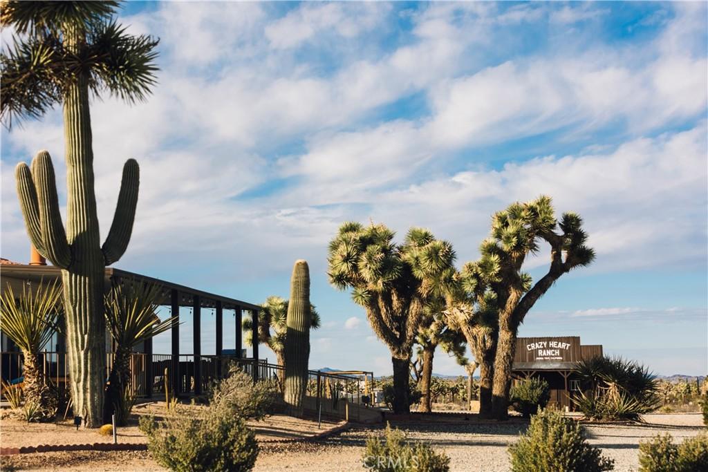 MLS #JT26009702 image #0