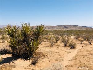 2 Geronimo Trail Landers CA 92285 | MLS #JT26017878 41 MLS #JT26017878 image #0