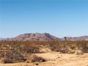 MLS #JT26017898 image #0