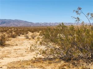 MLS #JT26017907 image #0