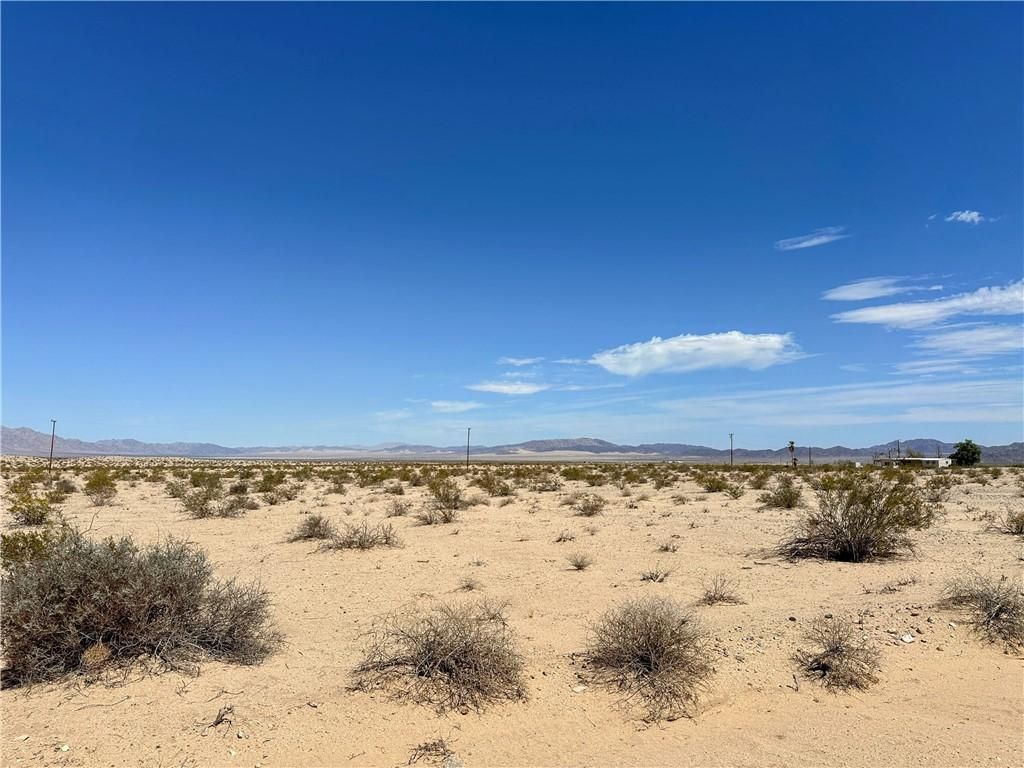 11 Cadiz AV 29 Palms CA 92277 | MLS #JT26019617 45 MLS #JT26019617 image #0