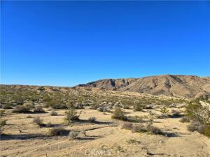 MLS #JT26020126 image #0
