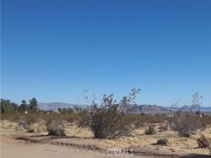 345 Deer Trail Yucca Valley CA 92284 | MLS #JT26022517 45 MLS #JT26022517 image #0