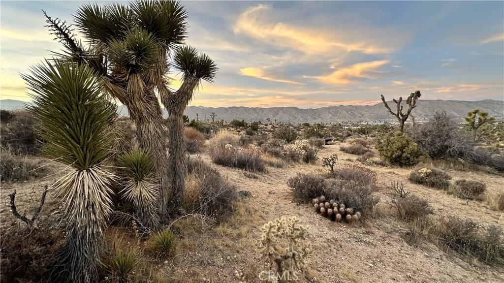 55370 Bunny RD Yucca Valley CA 92284 | MLS #JT26022536 45 MLS #JT26022536 image #0