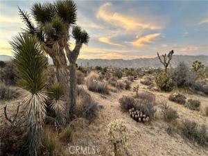 55370 Bunny Road Yucca Valley CA 92284 | MLS #JT26022536 45 MLS #JT26022536 image #0