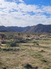 Cottonwood Drive Lot 8 Joshua Tree CA 92252 | MLS #JT26027822 41 MLS #JT26027822 image #0