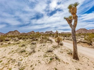 broker reciprocity