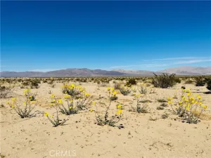 broker reciprocity