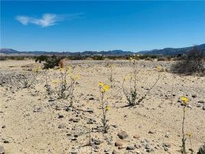 Stormy Road 29 Palms CA 92277 | MLS #JT26029749 41 MLS #JT26029749 image #0