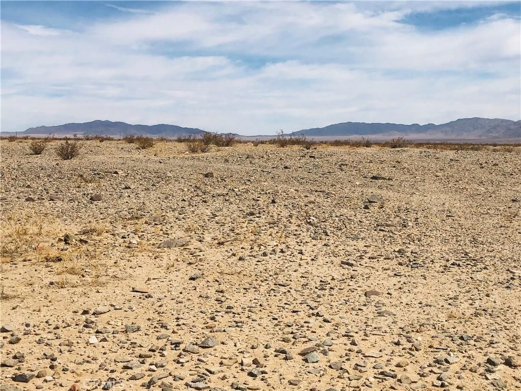 5 Raymond DR 29 Palms CA 92277 | MLS #JT26030271 41 MLS #JT26030271 image #0