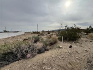 Elm (Tamarisk) Lot 69 29 Palms CA 92277 | MLS #JT26032599 45 MLS #JT26032599 image #0
