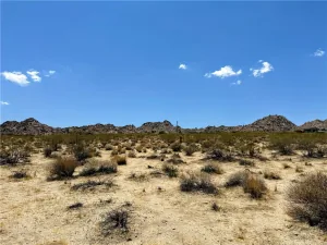 broker reciprocity