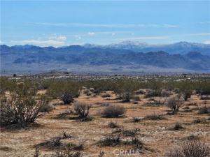 Sun Oro Road Lot 21 Joshua Tree CA 92252 | MLS #JT26038266 41 MLS #JT26038266 image #0