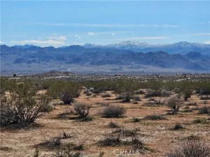 broker reciprocity