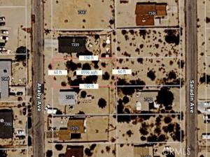 MLS #JT26049033 image #0