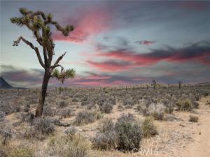 MLS #JT26050459 image #0