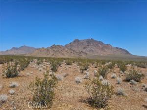 MLS #JT26055096 image #0