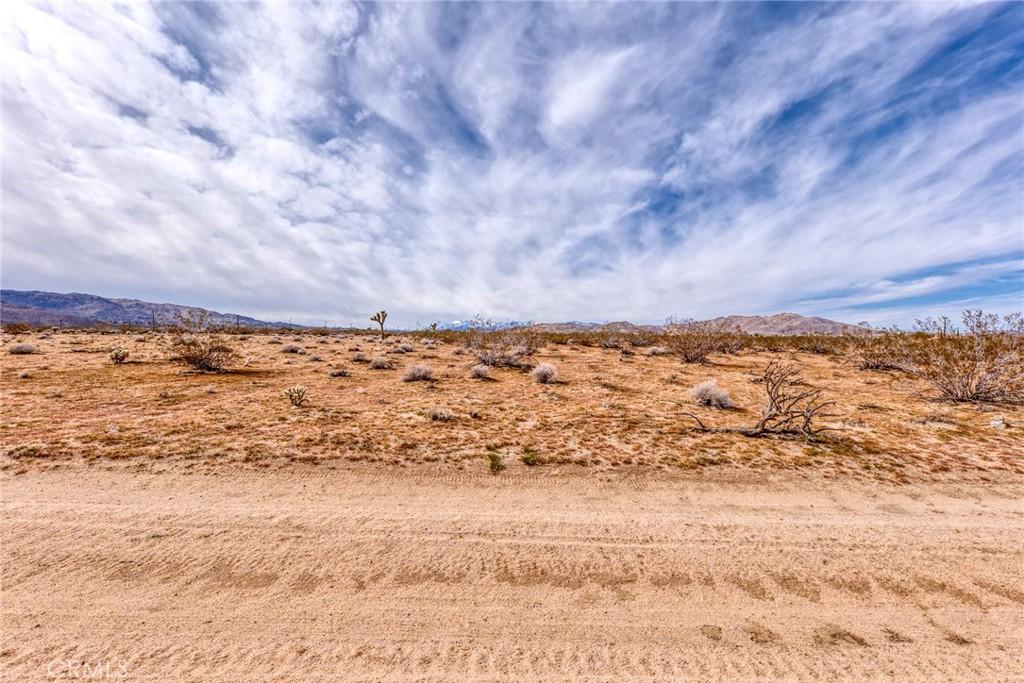 147 Little RD Joshua Tree CA 92252 | MLS #JT26055441 21 MLS #JT26055441 image #0
