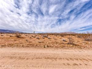 147 Little Road Joshua Tree CA 92252 | MLS #JT26055441 25 MLS #JT26055441 image #0