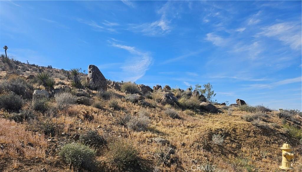 MLS #JT26064539 image #0