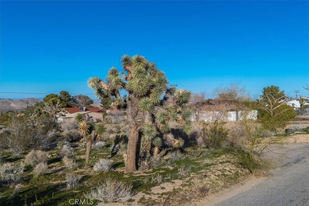 60432 Latham TR Joshua Tree CA 92252 | MLS #JT26064579 41 MLS #JT26064579 image #0