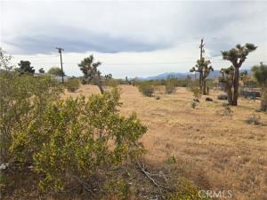MLS #JT26066895 image #0