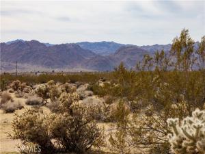 MLS #JT26076608 image #0