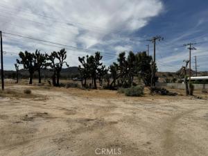 MLS #JT26077740 image #0