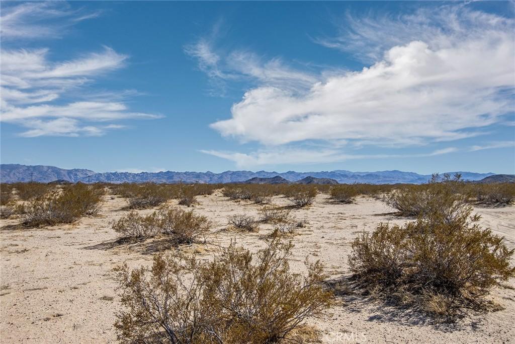 1300 Mt Shasta Joshua Tree CA 92252 | MLS #JT26085205 45 MLS #JT26085205 image #0