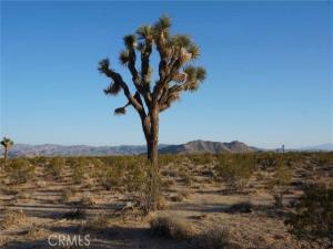 MLS #JT26088340 image #0