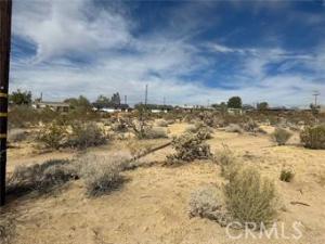 MLS #JT26096569 image #0