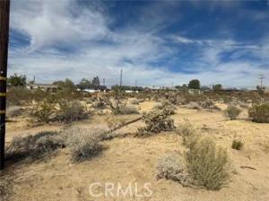 MLS #JT26096569 image #0