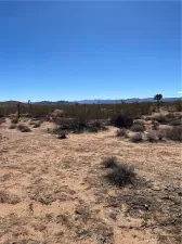 broker reciprocity