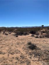 MLS #JT26099930 image #0