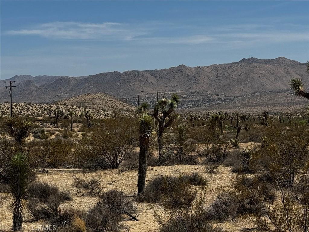 Anita AV Lot 19 Yucca Valley CA 92284 | MLS #JT26107477 37 MLS #JT26107477 image #0