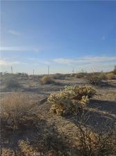 MLS #JT26122160 image #0