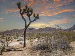 broker reciprocity