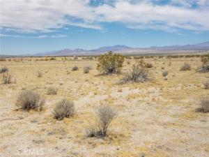 MLS #JT26125019 image #0