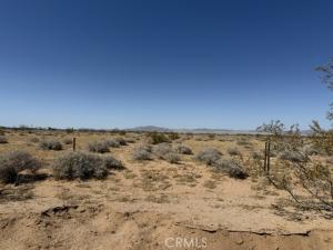 MLS #JT26125681 image #0