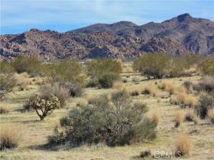7130 Sunfair Road Joshua Tree CA 92252 | MLS #JT26126578 45 MLS #JT26126578 image #0
