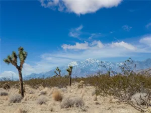 broker reciprocity