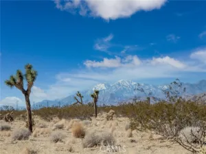 broker reciprocity