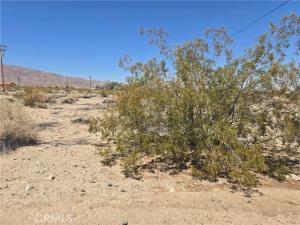 7070 Sheridan Avenue 29 Palms CA 92277 | MLS #JT26128838 37 MLS #JT26128838 image #0