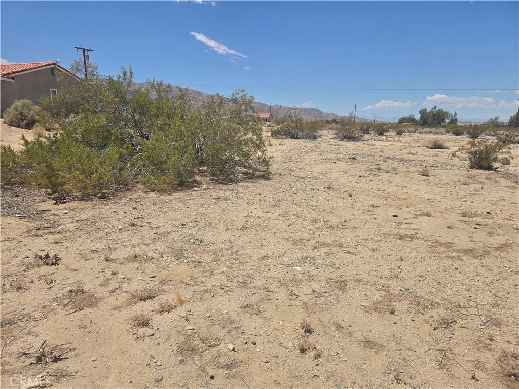 2 Sheridan AV 29 Palms CA 92277 | MLS #JT26128846 37 MLS #JT26128846 image #0